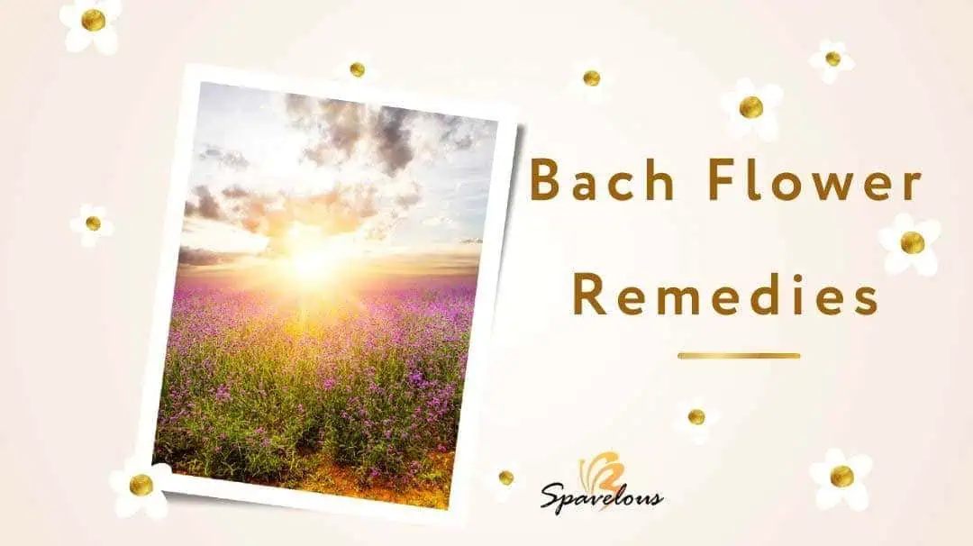 bach flower remedies