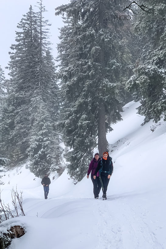 Drei Wanderer im Winter