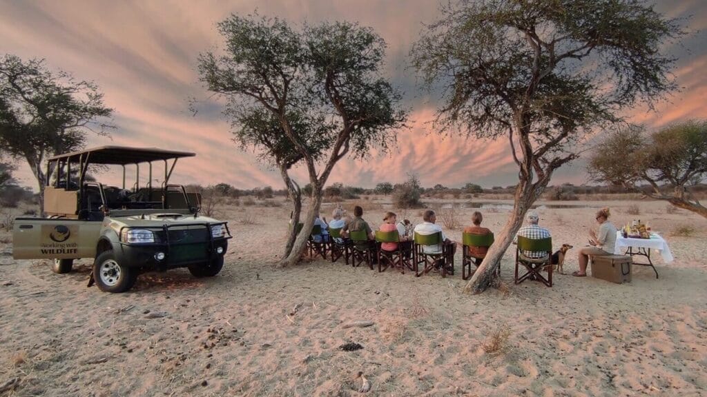 kalahari safari exclusive group Exclusive group on a Kalahari safari