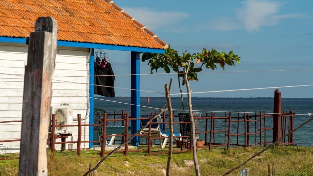 kuba na własną rękę