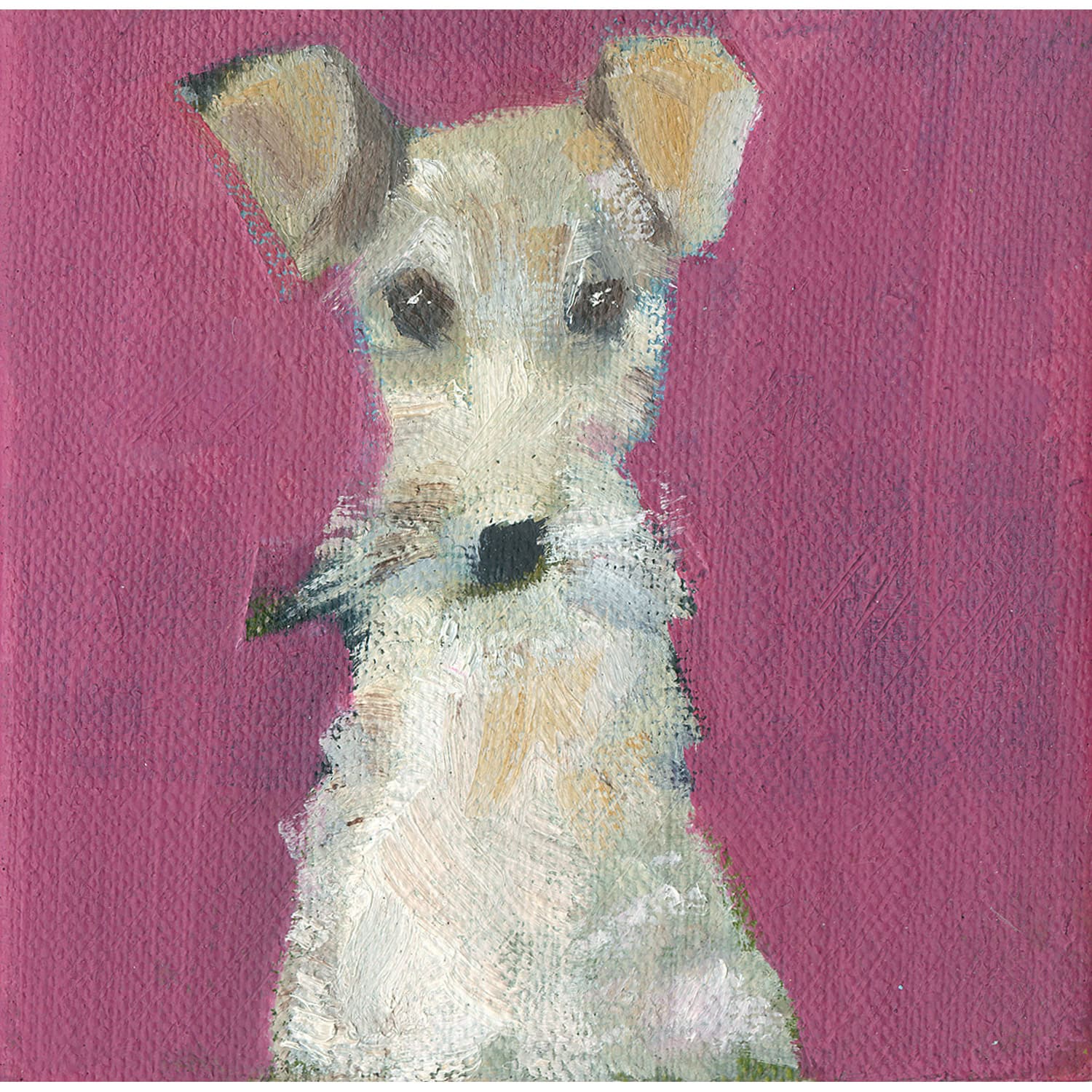 4692C Small White Terrier – Sally Muir