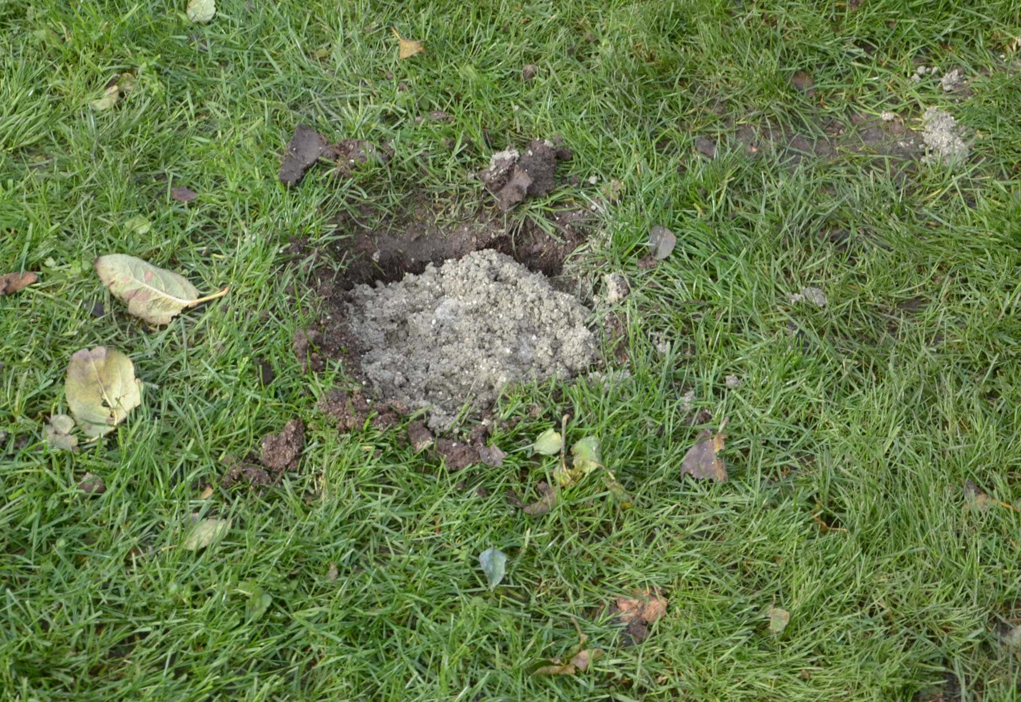 Punktfundament für Hochbeet Loch mit Beton
