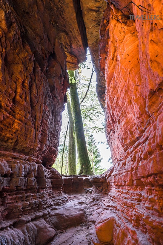 Eine Felsformation bei den Altschlossfelsen im Pfälzerwald