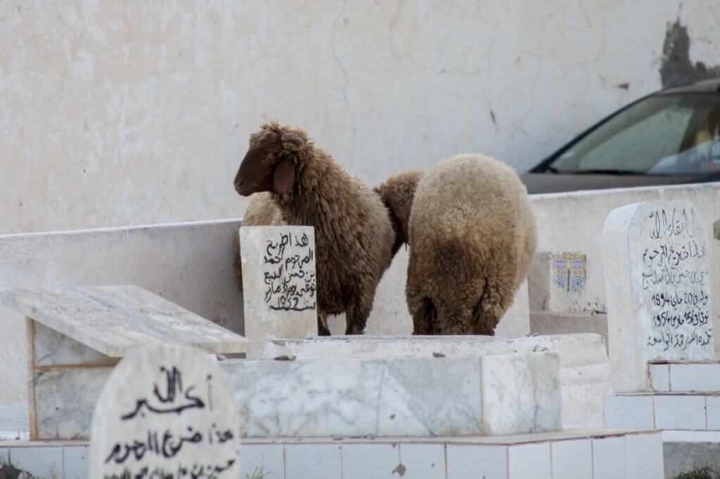 wszystkich świętych