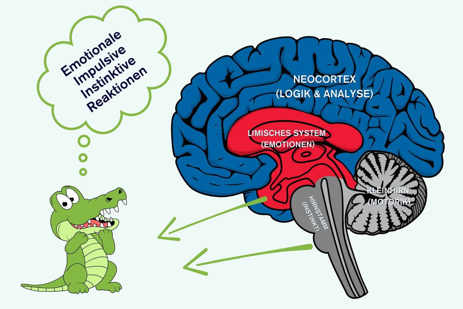 Blog 8 Warum scheitern Veränderungen. Das Krokodil im Kopf