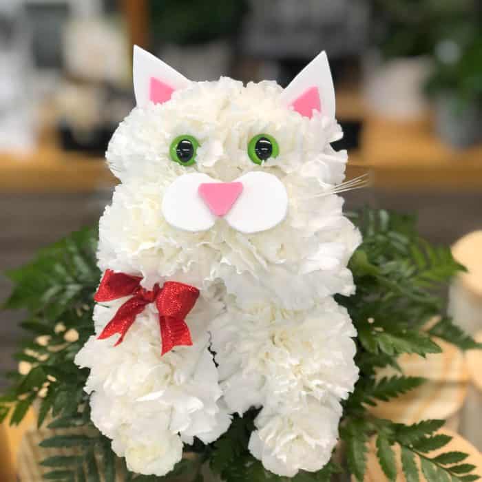CAT CREATURE