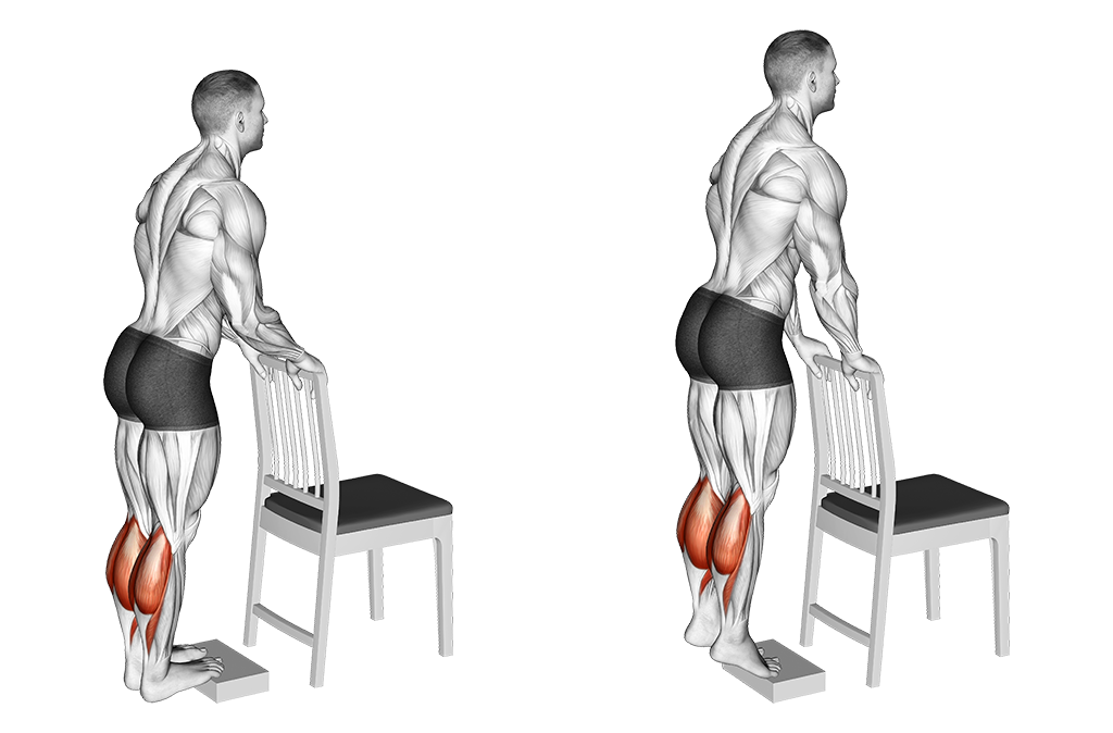 Bodyweight Calf Raises - Perfect Leg Workout