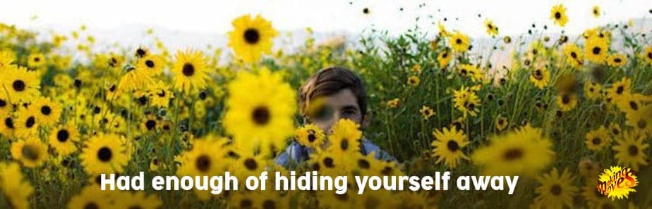 web front page sunflower hiding