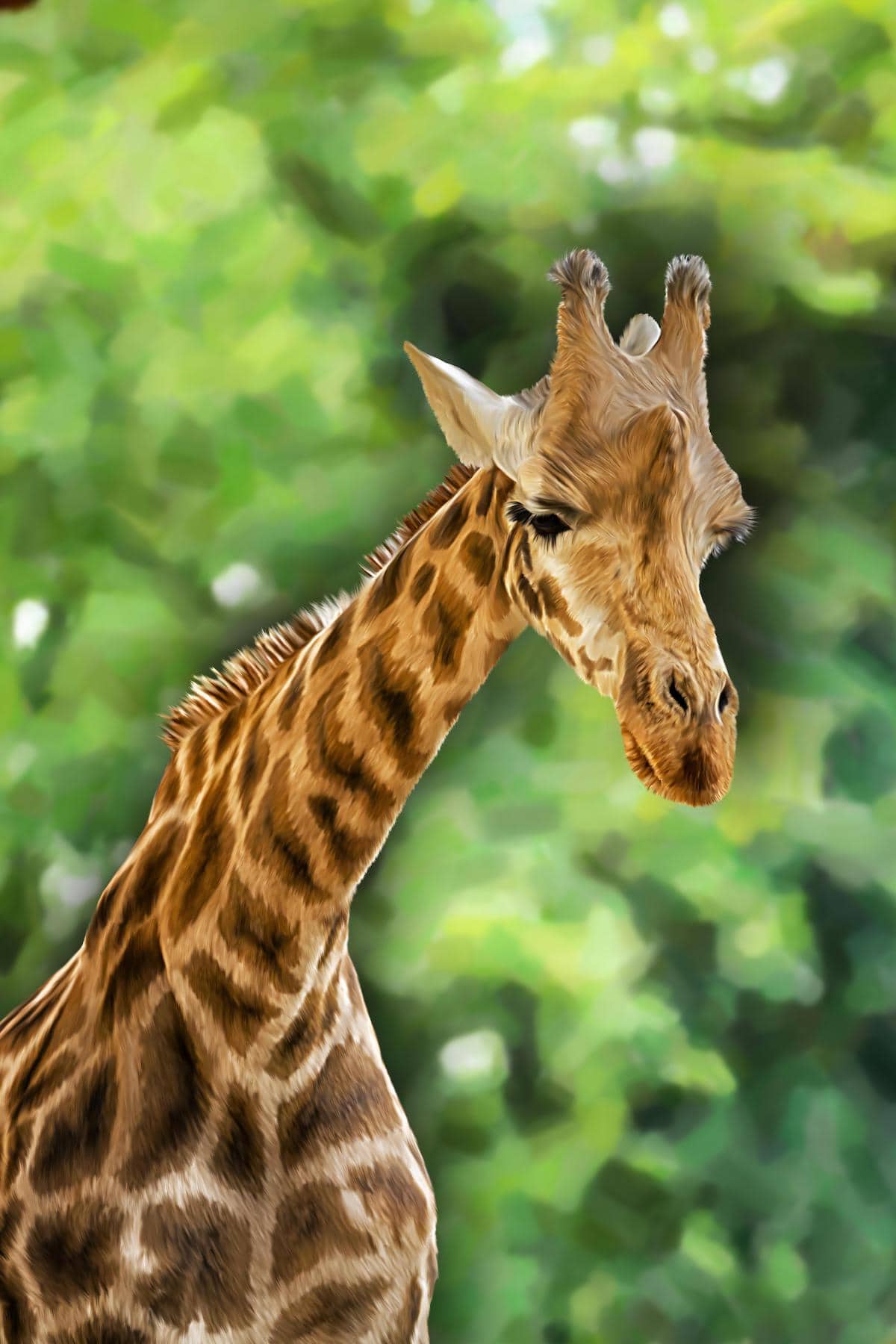 Your Ultimate Zimbabwe Travel Packing List