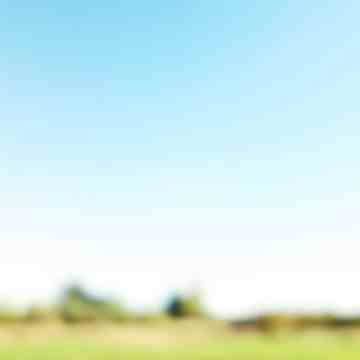 Simple Blurred Landscape