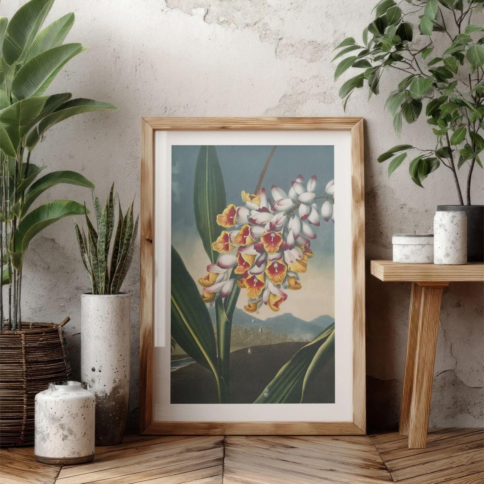 il_fullxfull.7825662770_93l8.jpg Robert John Thornton - Printable Wall Art, English Artist, Temple Of Flora, Digital Download