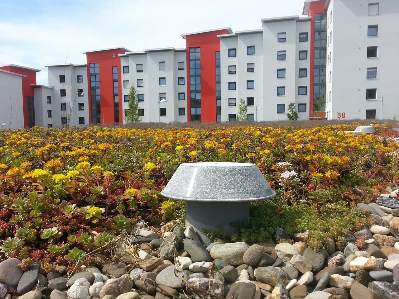 Dachabdichtung – so wird das Flachdach dicht begrüntes Flachdach mit Gully