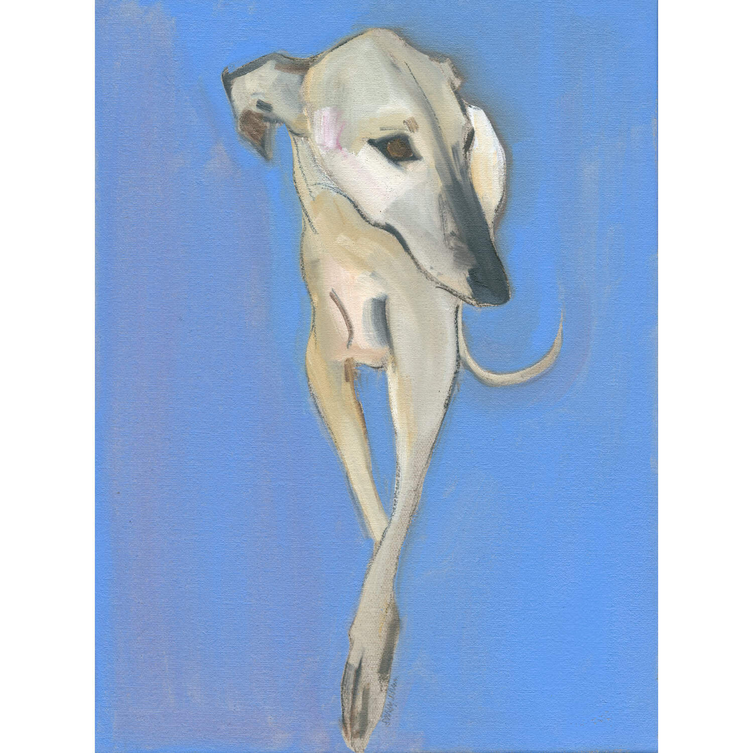 4700C Pale Hound on Light Blue Background – Sally Muir