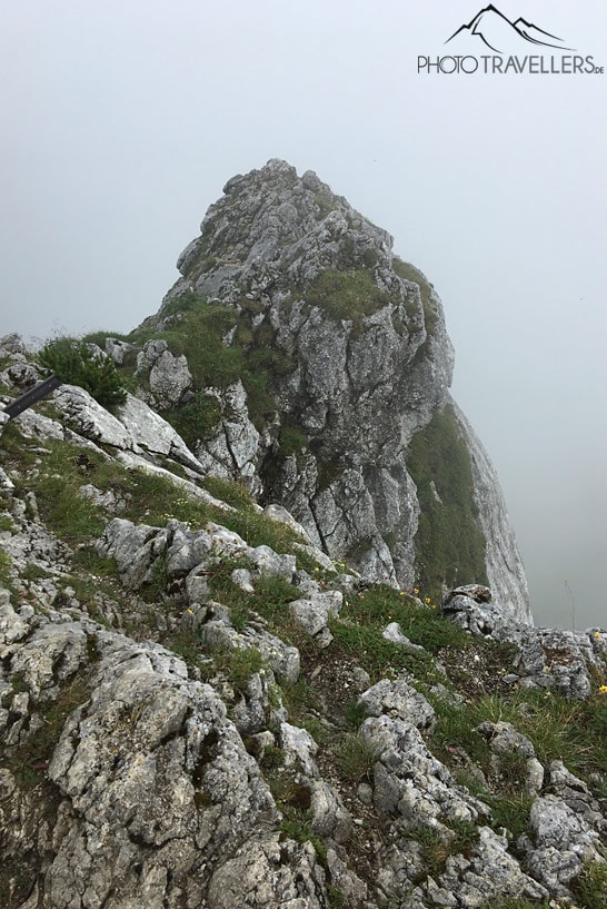 Der Taubenstein-Gipfel im Nebel