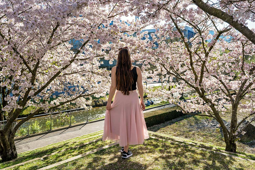 Reisebloggerin Biggi Bauer steht unter Kirschblüten im Petuelpark, München