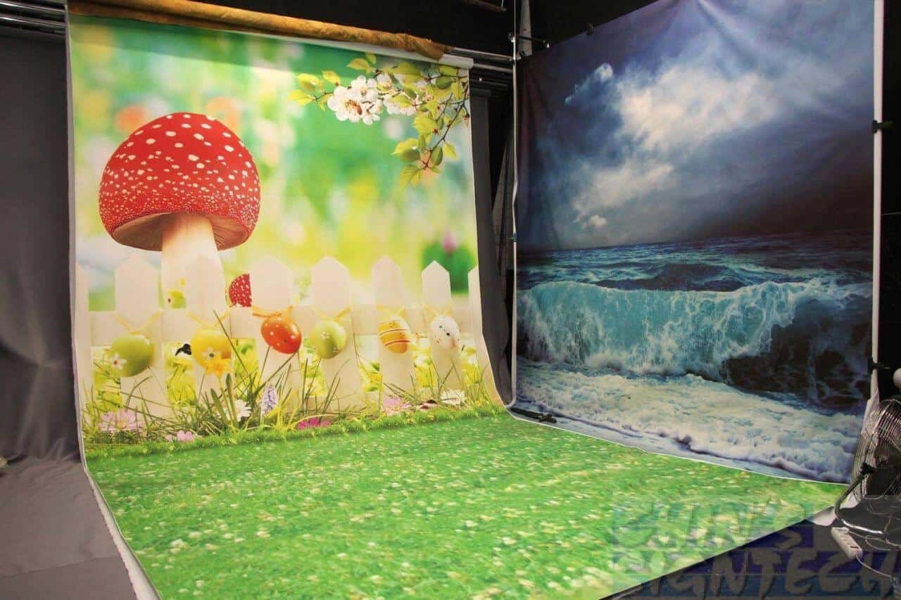 photography studio with Mushroom background