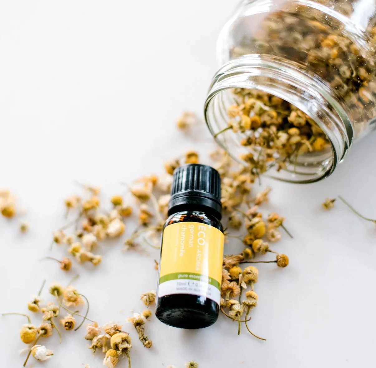 Dried German Chamomile flowers spill onto a white surface, with a 10ml bottle of German Chamomile 3% in Grapeseed Oil nestled among the petals.