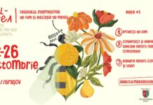 Festival Culmea 2025 – Film și Educație de Mediu #3