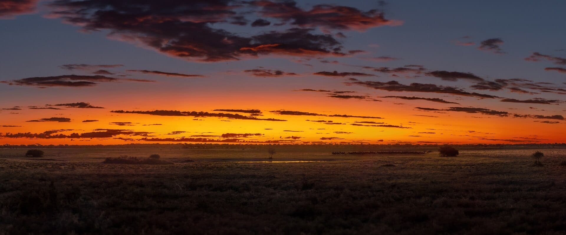 Kalahari sunset over calcrete pan with wildlife and dramatic sky