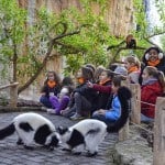 5-locuri-de-vizitat-in-Valencia-cu-copii-la-Bioparc 5-locuri-de-vizitat-in-Valencia-cu-copii-la-Bioparc