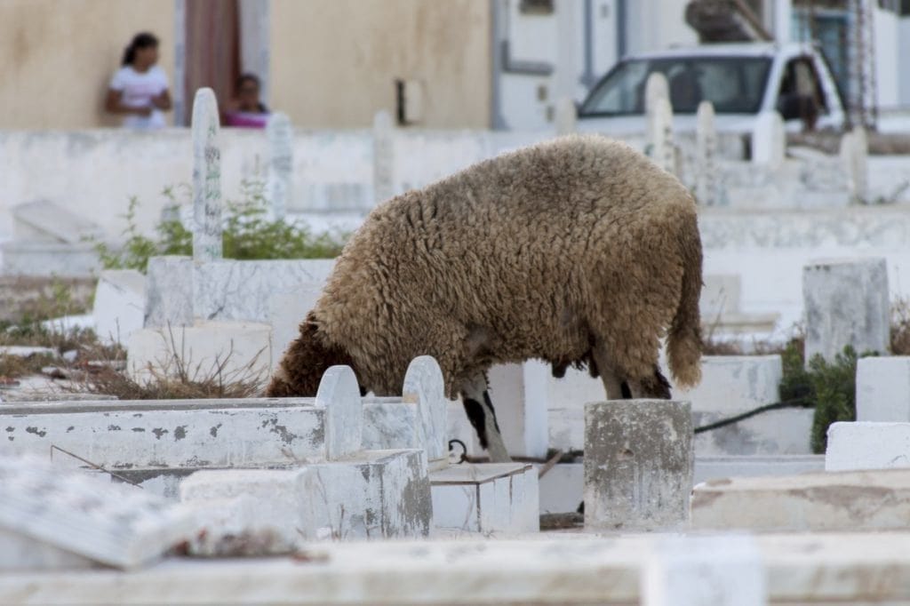 wszystkich świętych