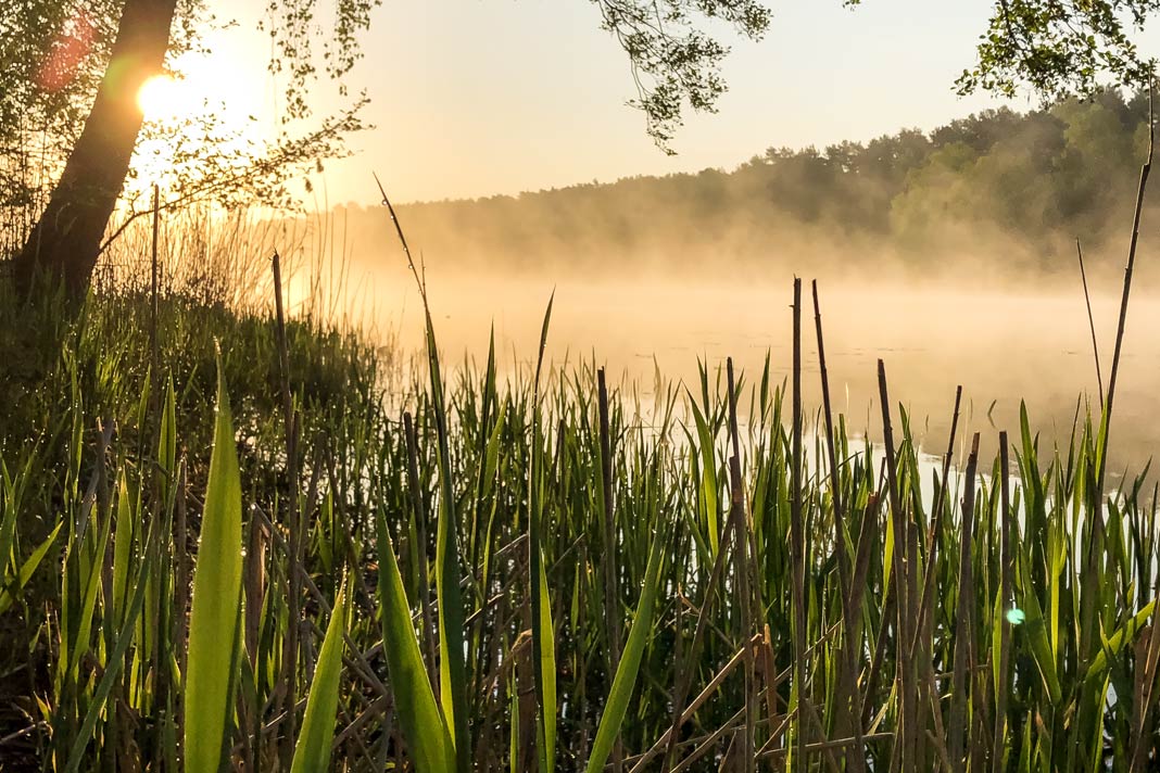 Sonnenaufgang am See mit Nebel