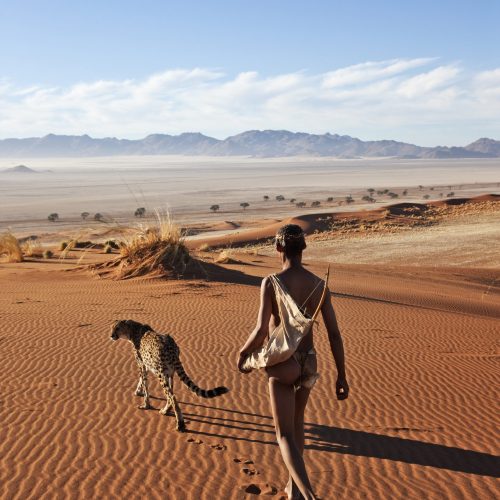Bushman/San People. San hunter armed with traditional bow and arrow with cheetah (Acinonyx jubatus). Archaeological evidence suggests that the San people have lived in Africa for at least 22, 000 years. Namibia. Various conservation organizations are re - introducing cheetah and other animals back into the Namib desert of Namibia. One of the organizations is a private park called N/a’an ku sê (www.naankuse.com). This organization owned by Doctor Rudie van Vuuren and his wife Marlice van Vuuren, one of Namibia's most popular nature conservationists who is fluent in Khoi San, do a lot of work with the bushmen.  Amongst others they have the Lifeline Clinic and Bushman School to tend to the needs of the bushmen.
This image, as part of a series, was taken to raise awareness and funds for the conservation projects of N/a’an ku sê, as the bushmen had a very close relationship to animals in the past.