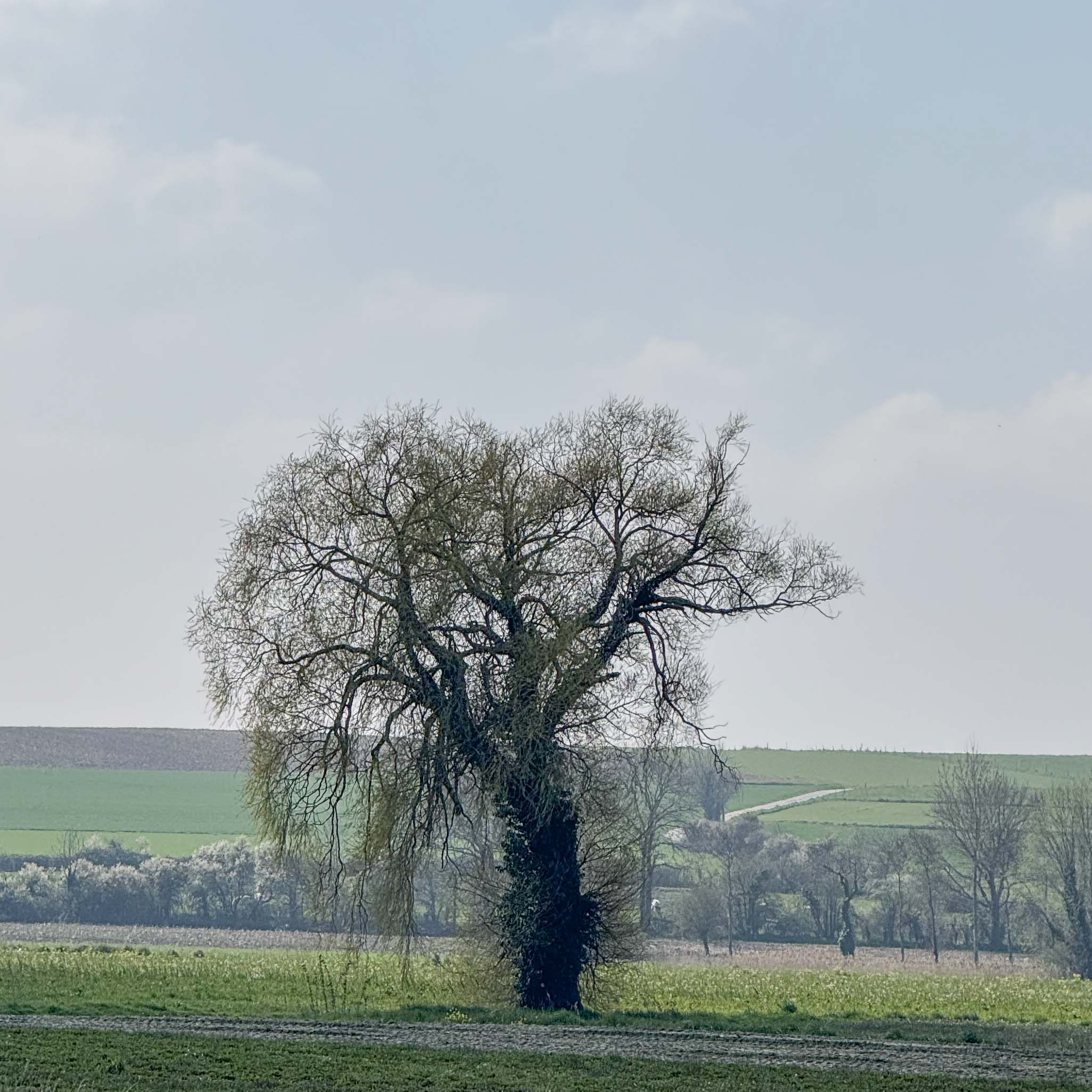 Radtour Mont-Saint-Michel