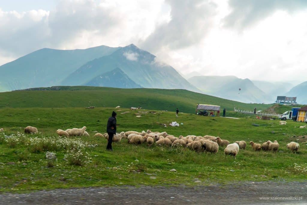 najsłynniejsza trasa gruzji