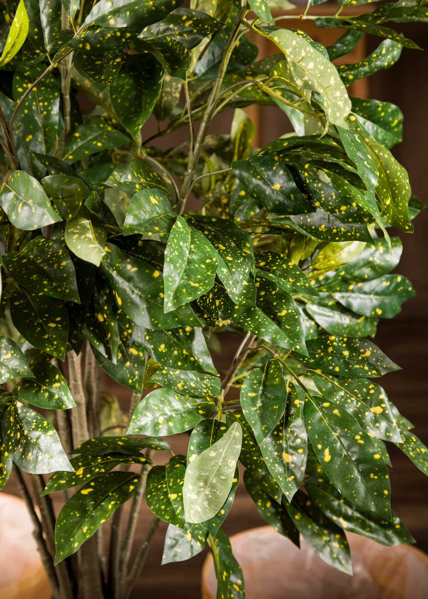 foglie-dettagliate-aucuba-pianta-artificiale