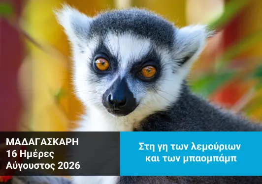 Tαξίδι στη Μαδαγασκάρη - Xploristas