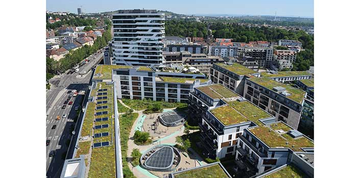 Bild von Gründächern in der Stadt