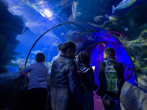 Faszinierend Sea Life London Aquarium Fotosnull