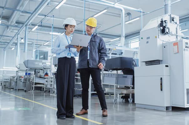 Supplier audit
