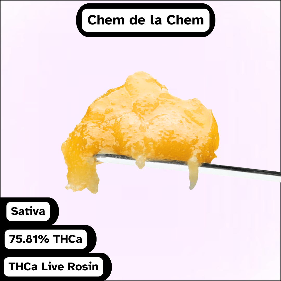 A dab tool holds a yellow, waxy concentrate labeled Live Rosin - Chem de la Chem (1g.), Sativa, 75.81% THCa, on a plain light background.