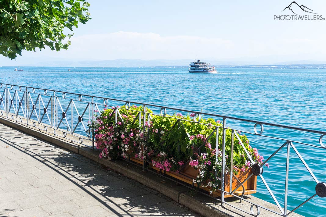 Der Blick vom Ufer auf den Bodensee mit Dampfer