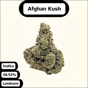 Afghan Kush