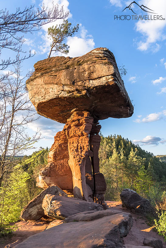 Der Teufelstisch im Pfälzerwald am Abend