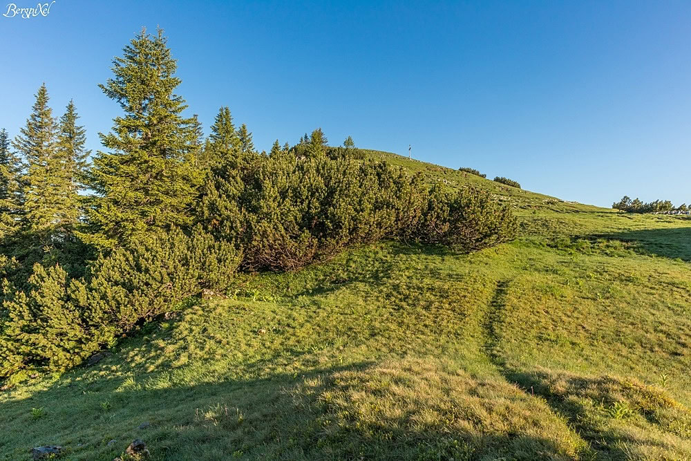 Blick auf das Hirschberg-Gipfelkreuz