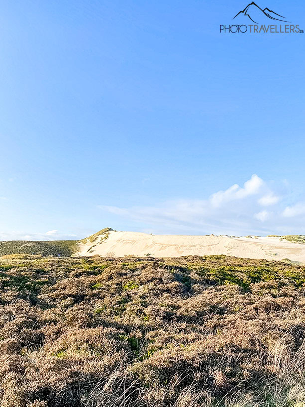 Eine Wanderdüne auf Sylt