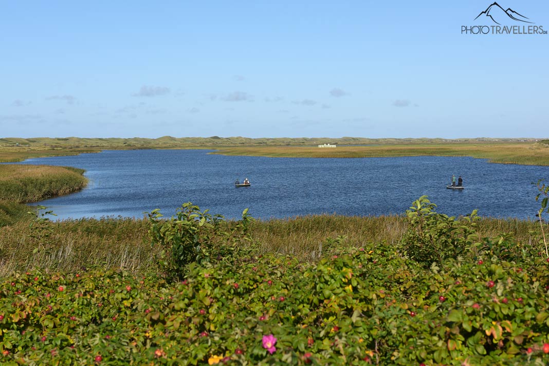 Angler auf See bei Nymindegab
