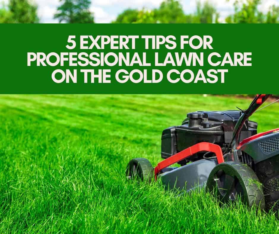 Your Lawn Mower When To First Cut New Grass Your Lawn Lawn