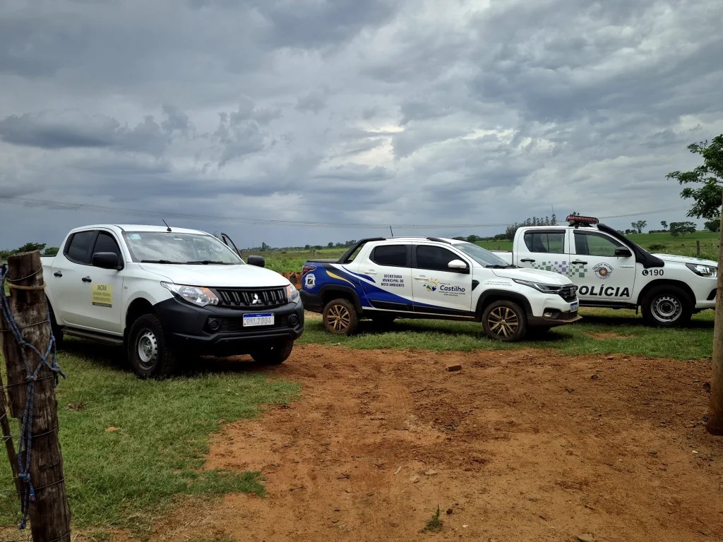 Regularização da reserva da Cafeeira em Castilho SP
