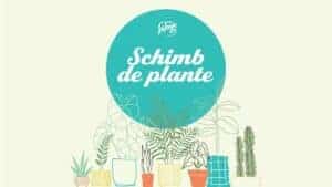 schimb de plante la iasi