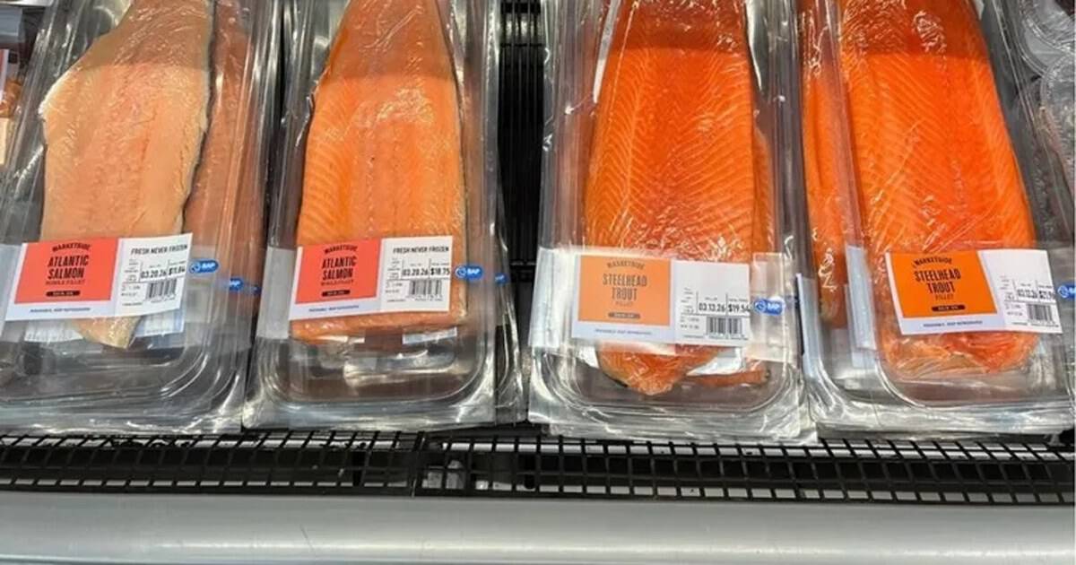 Filetes de trucha neuquina destinados a la exportación de salmónidos