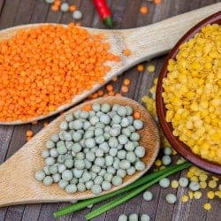 linte lentil lentille lenticchia lenteja Linse gokid legume ordonate alfabetic