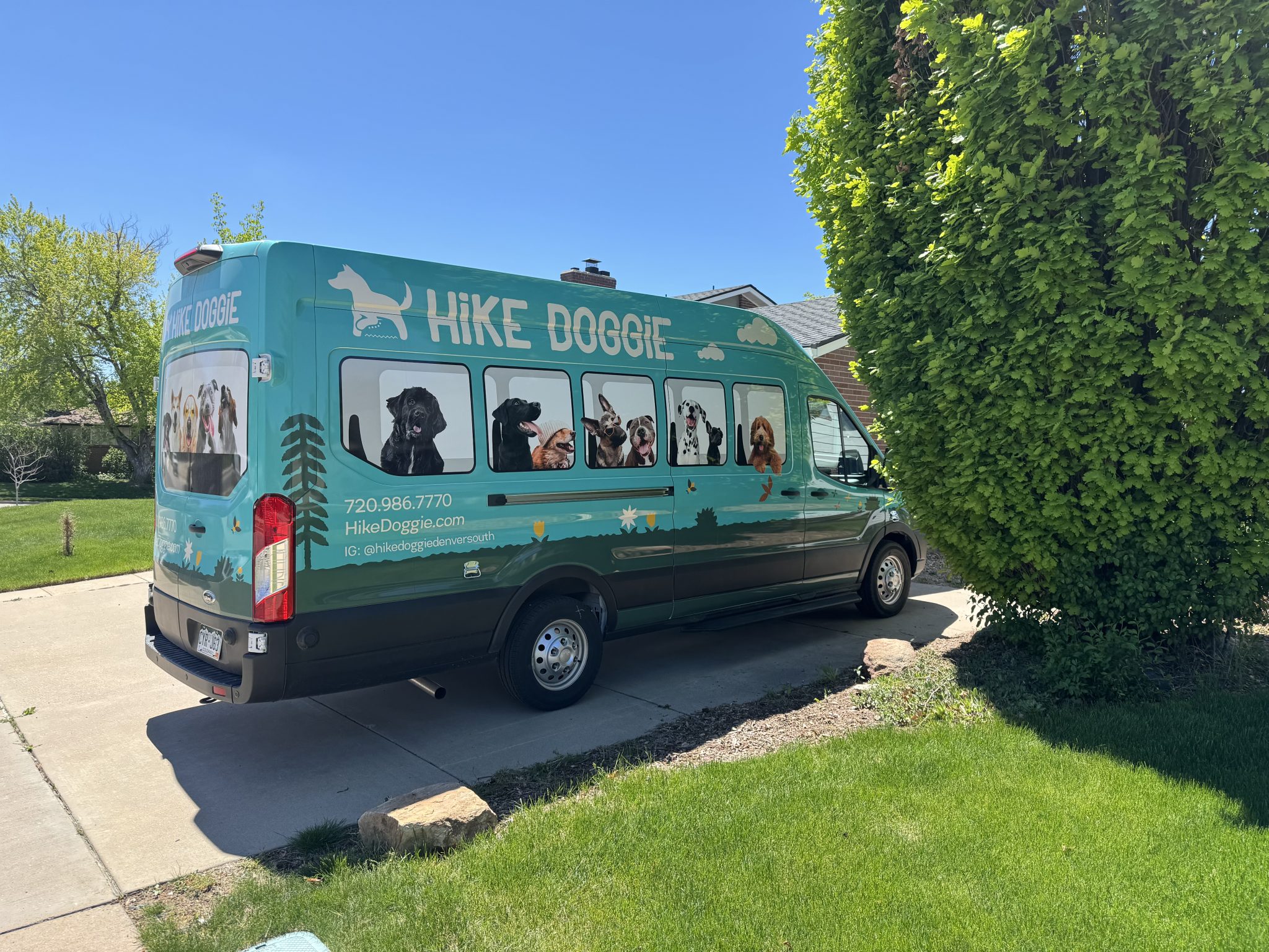 Hike Doggie branded transport van parked in a residential driveway with dog graphics on the windows
