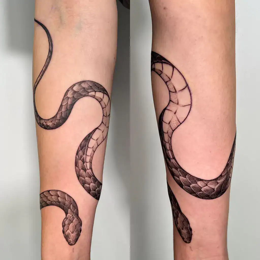 Fineline Whip Shading Schlange auf dem Unterarm