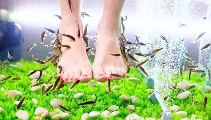 FISH PEDICURE SPA GARRA RUFA IN THE USA: EXPLORING SAFETY AND NEW TREND 3 fish pedicures