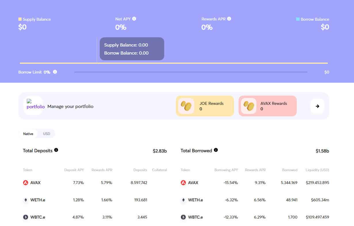 Borrow Tokens Borrow Tokens